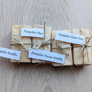 Sample Pack- Soy Wax Melts /Plastic-free and Zero waste/4 scents per pack (2 each)/ Handmade in Oregon/ Wax melt plastic free alternative