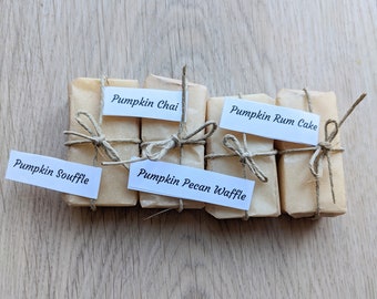 Sample Pack- Soy Wax Melts /Plastic-free and Zero waste/4 scents per pack (2 each)/ Handmade in Oregon/ Wax melt plastic free alternative