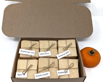 Fall Melt Gift Box- Soy Wax Melts /6 packs of 8/Plastic-free and Zero waste/ Handmade in Oregon/ Wax melt plastic free alternative/