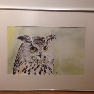 eared 40x60 watercolour
