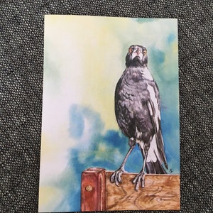 Artcard art birthdaycard party partycard colocou uma mensagem nesta pega australiana