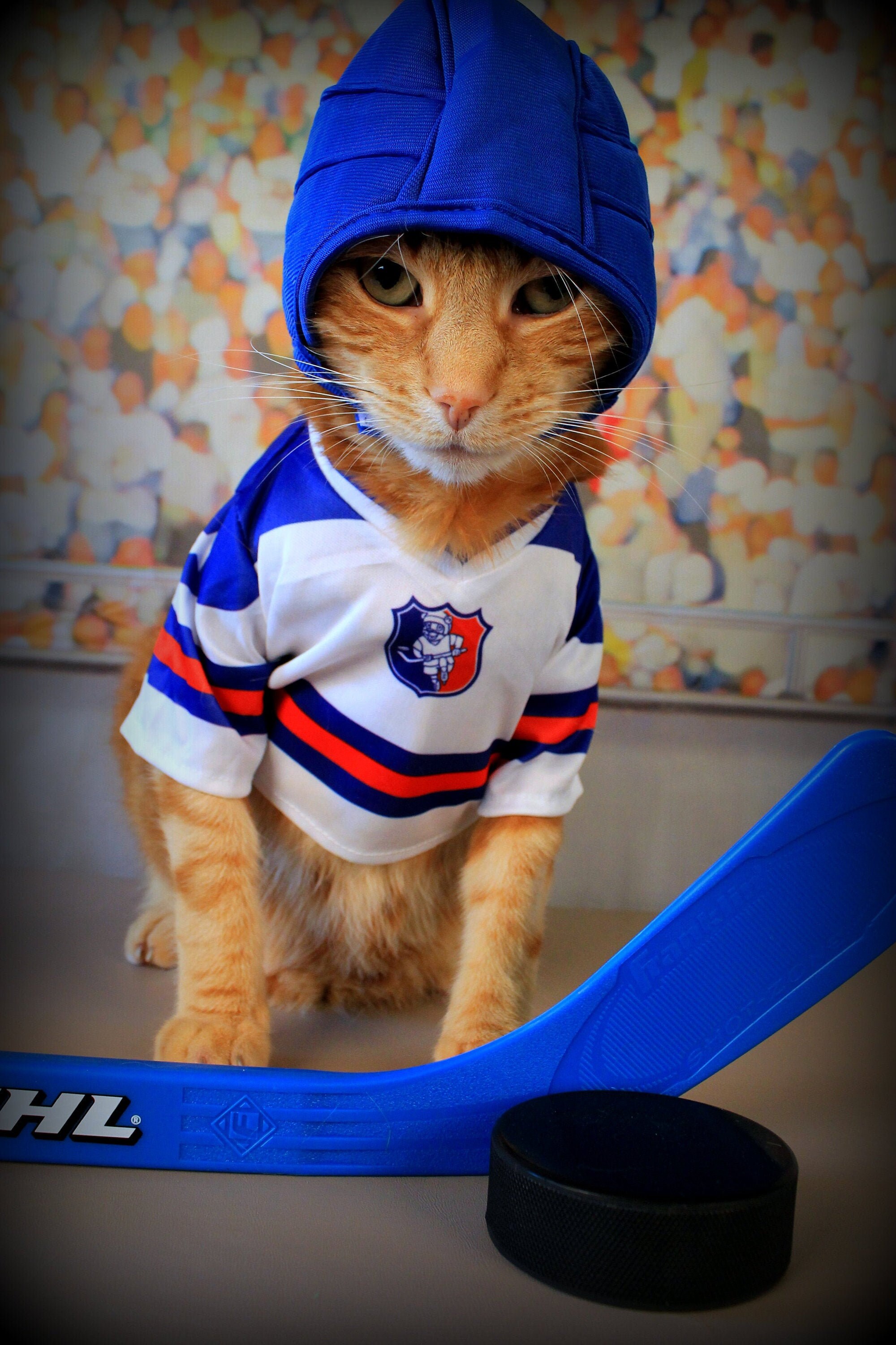 Funny Hockey Cat Cards Blank set of 3 Etsy