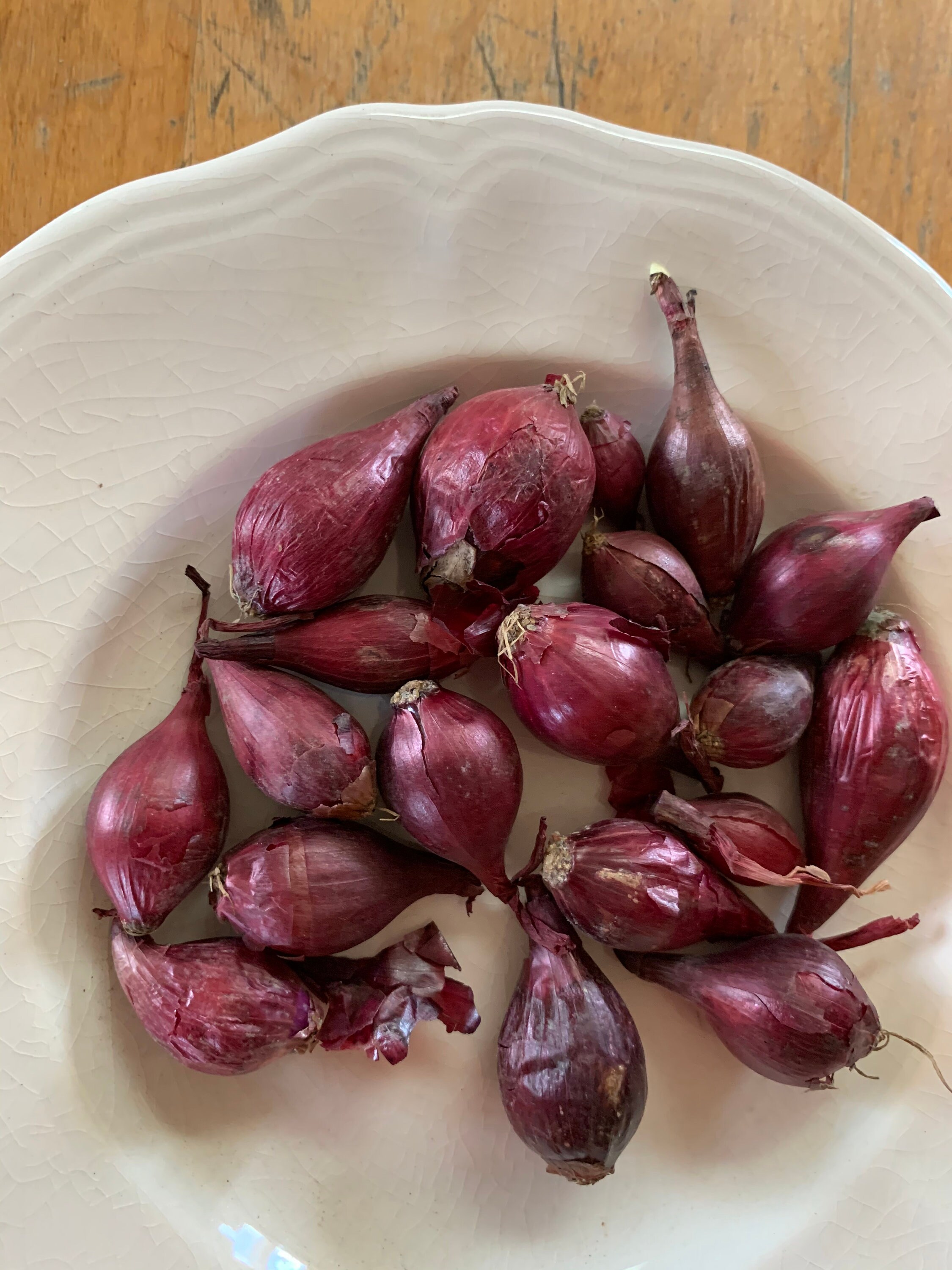 Red onion sets USA grown delicious and easy to grow Etsy