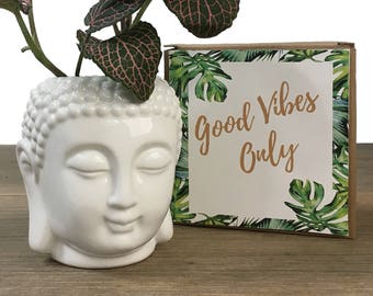 Buddha Statue, Ceramic Planter, Succulent Planter, Buddha, succulent pots, meditation, girlfriend gift, best friend gift, mothers day,