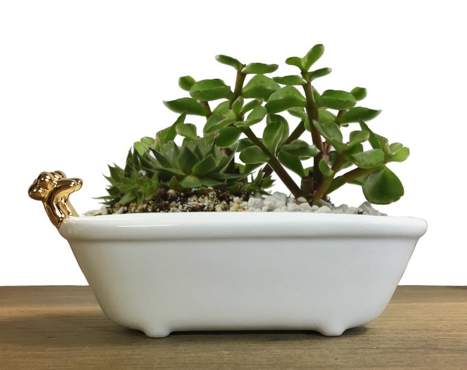 BATHTUB Planter, Small Cute Planter, Jewelry Organizer, Ceramic Planter ...