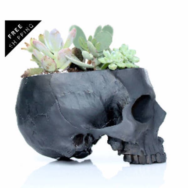 Human Skull Bowl, succulent planter, Gothic Home Decor, Halloween decor, Black Skull ashtray