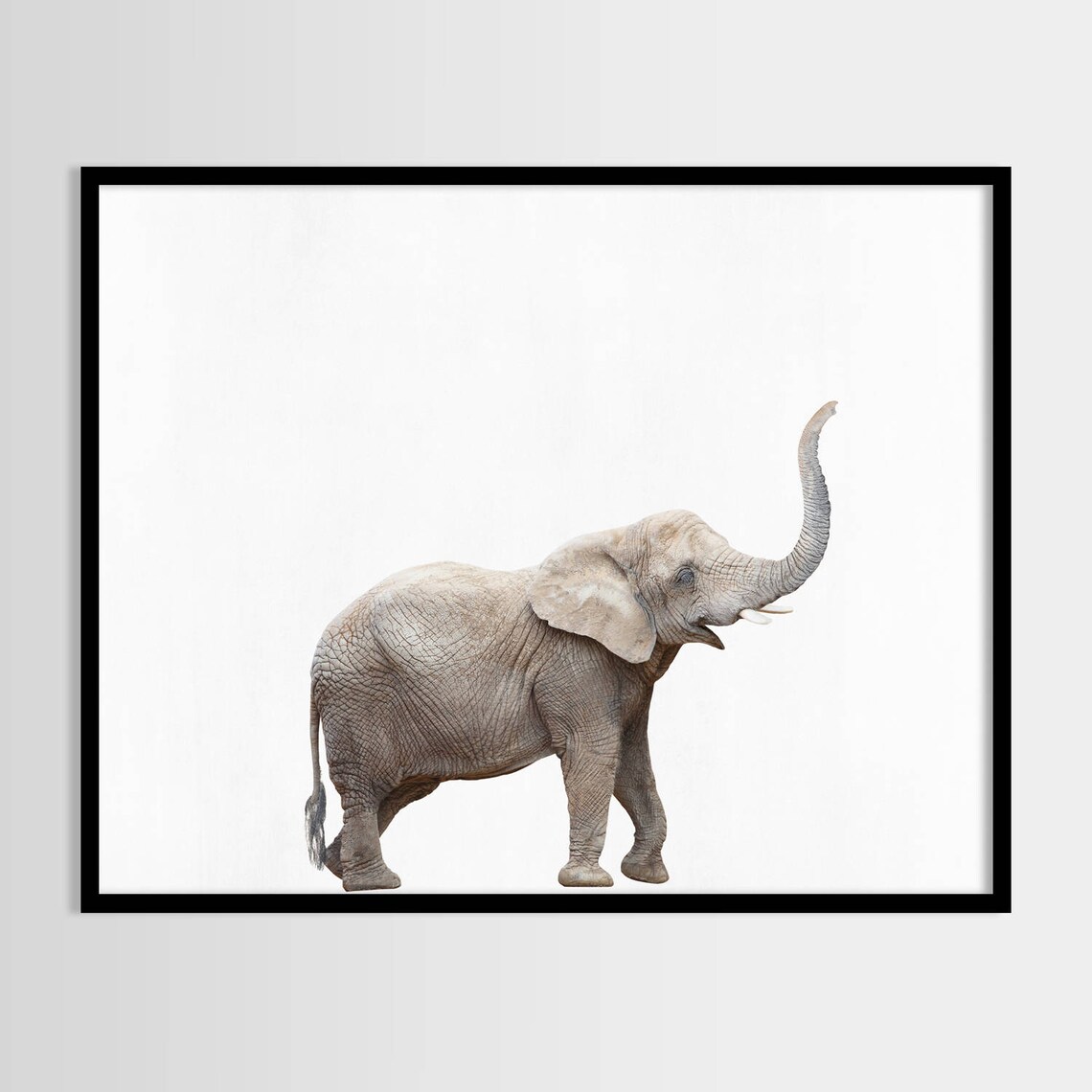 Elephant print African Safari Nursery decor Animal Kids Etsy