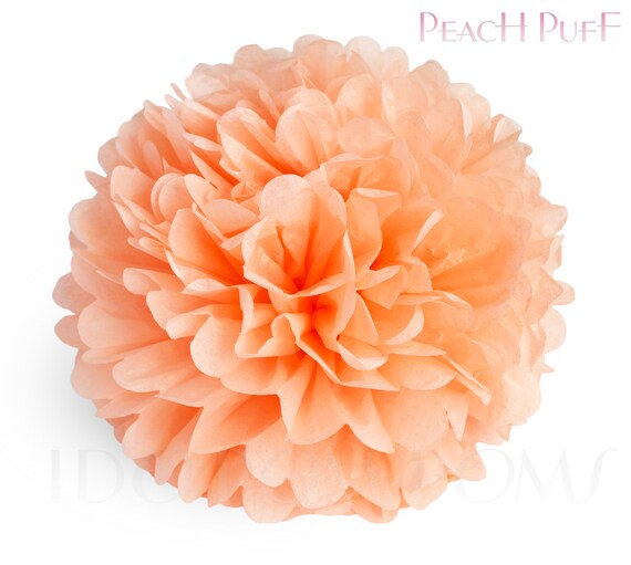 Peach Puff Coral Tissue Paper Pom Poms Wedding Party Etsy