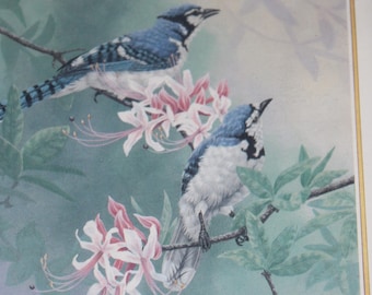 Christopher Forrest Bluejays Lithograph