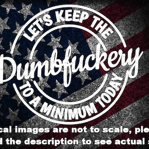Let's Keep The Dumbfuckery To A Minimum Truck Van Window Decal or Bumper Sticker Vinyl Decal