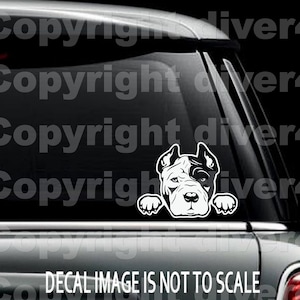 Peeking PitBull Car Truck Van Window or Bumper Sticker Vinyl Decal