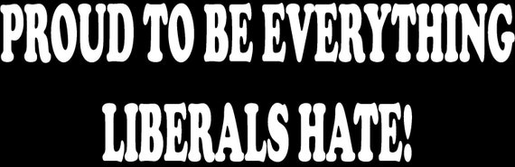 Proud to be Everything Liberals Hate Car Window Decal Bumper Sticker US Seller