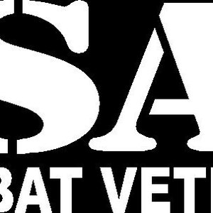 Combat Veteran USAF Car Truck Van Window or Bumper Sticker Vinyl Decal
