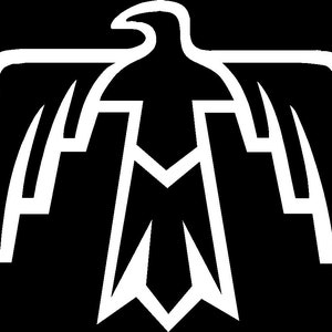 Thunderbird Vinyl Custom Car Truck Van Window or Bumper Sticker Vinyl Decal