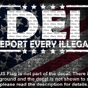 DEI Deport Every Illegal Car Van Truck Sticker Cut Vinyl Decal