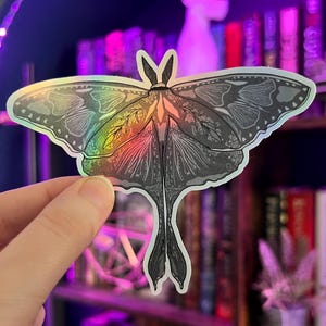 May include: A holographic sticker of a black and white moth with intricate wing patterns. The sticker has a rainbow iridescent finish.