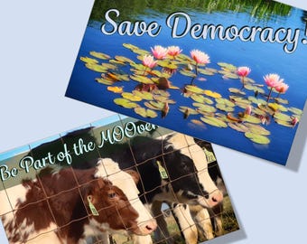 Save Democracy Postcards: Political Call to Action, Uncoated cards; Useful for energizing friends!