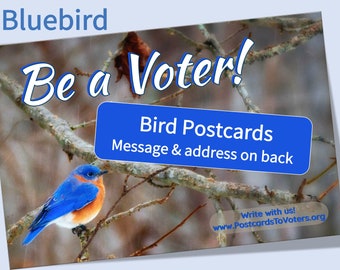 Bird  "Be a Voter" Postcards - cheerful cards to encourage voters - Includes #PostcardsToVoters Tagline.