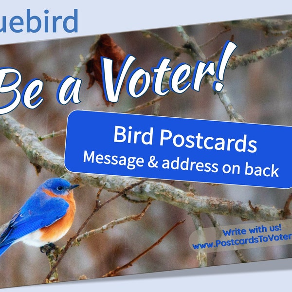 Bird  "Be a Voter" Postcards - cheerful cards to encourage voters - Includes #PostcardsToVoters Tagline.