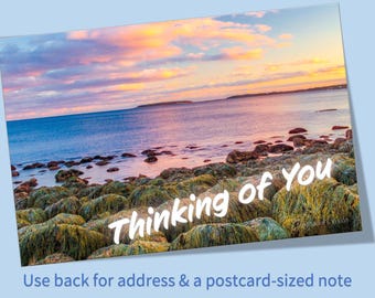 Special Occasion Postcard Set: Uncoated Cardstock, Sharpie Friendly Postcards • Thank you • Celebrate