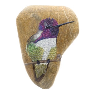 Hummingbird painting, Painted stone, Rock art