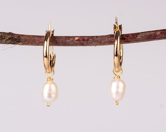 Pendientes de oro con perlas, delicados pendientes colgantes de oro con cuentas de perlas, pendientes clásicos de perlas, pendientes minimalistas de oro con perlas, pendientes de aro