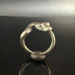 May include: A silver-toned ring shaped like a coiled snake. The band features a textured, scale-like pattern throughout, with the snake's head detailed with visible eyes and snout, curving around to meet the tail at the bottom of the circular band.
