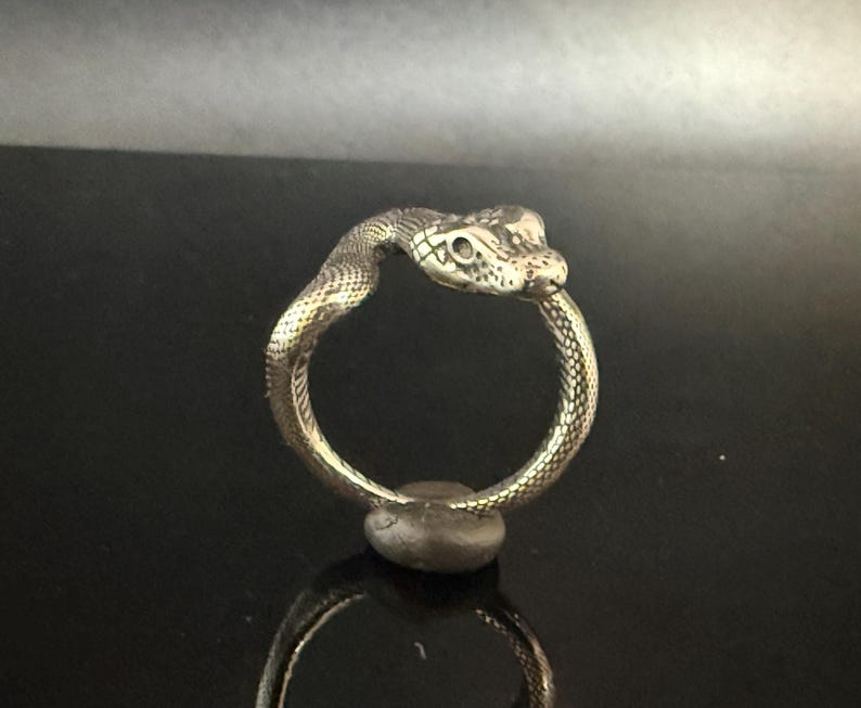 May include: A silver-toned ring shaped like a coiled snake. The band features a textured, scale-like pattern throughout, with the snake's head detailed with visible eyes and snout, curving around to meet the tail at the bottom of the circular band.