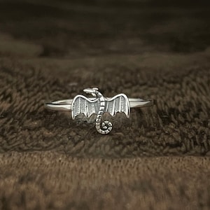 May include: A silver ring featuring a detailed dragon design. The dragon has outstretched wings, a long tail, and intricate scale detailing. The ring is set against a blurred, textured brown background.