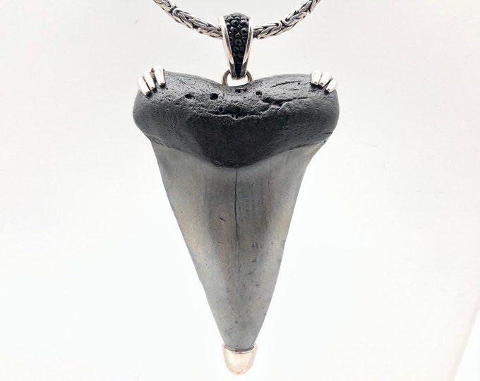 Shark Tooth Pendant Giant Megladon Tooth Pendant - Etsy