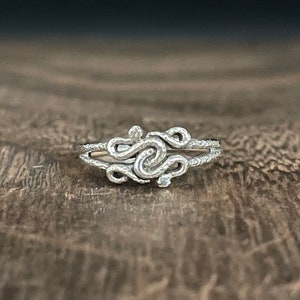 Könnte beinhalten: Ein silberner Ring mit einem detaillierten Design aus zwei verschlungenen Schlangen.