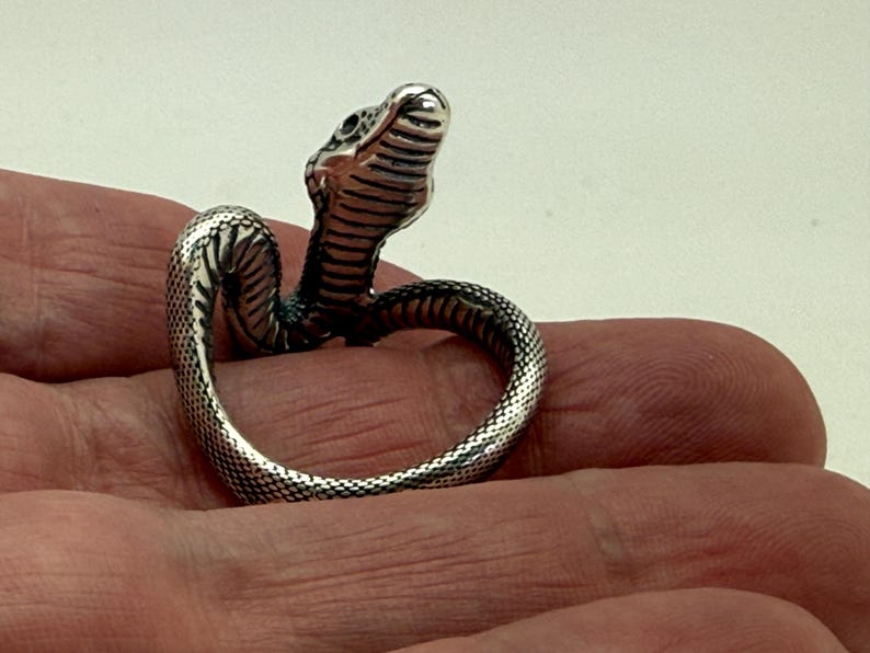 May include: A silver-toned metal ring shaped like a coiled snake. The ring features a textured, scale-like pattern along the body of the snake, with a raised head and defined facial features including eyes and a mouth, forming a continuous loop.