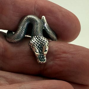 May include: A silver-toned snake brooch featuring a detailed, textured scale pattern across its body and head. The serpent is depicted in a coiled position with a smooth, polished finish on the eyes and snout, creating a reflective metallic appearance.