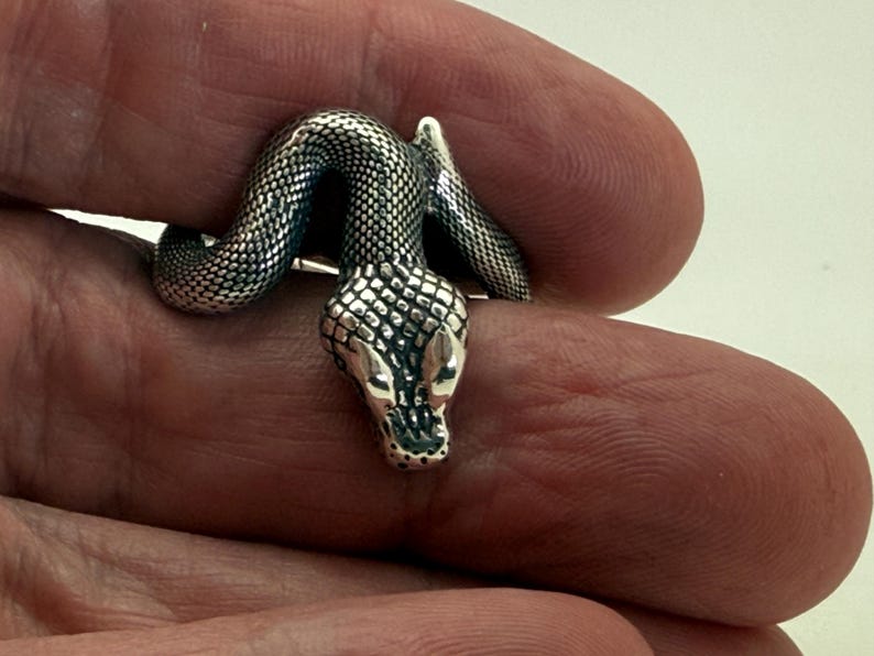 May include: A silver-toned snake brooch featuring a detailed, textured scale pattern across its body and head. The serpent is depicted in a coiled position with a smooth, polished finish on the eyes and snout, creating a reflective metallic appearance.