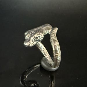May include: A silver-toned metal ring shaped like a coiled snake. The ring features detailed scale textures across the head and body, with a defined eye and a smooth inner band. The snake's head and tail meet to form the circular shape of the ring.