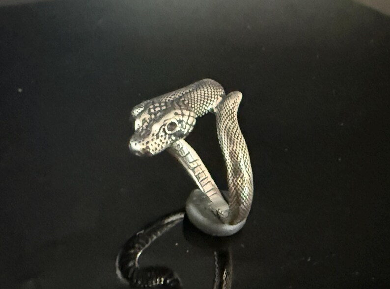 May include: A silver-toned metal ring shaped like a coiled snake. The ring features detailed scale textures across the head and body, with a defined eye and a smooth inner band. The snake's head and tail meet to form the circular shape of the ring.