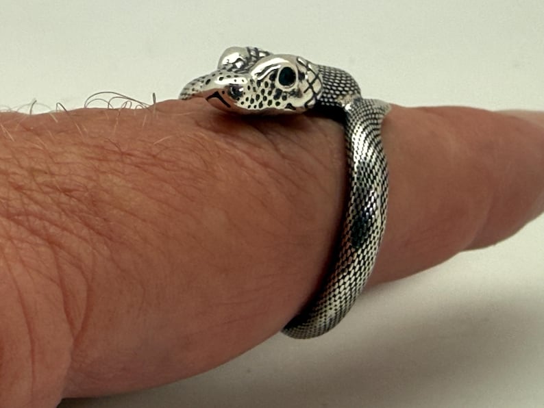 May include: A silver-toned ring shaped like a coiled snake. The metal surface features detailed, textured scale patterns across the body and head, with dark accents highlighting the crevices of the scales and the eyes of the snake design.