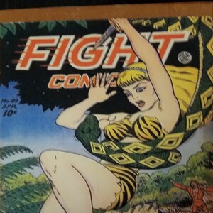 Può includere: Una copertina di fumetto vintage con una donna in un ambiente di giungla, circondata da serpenti e tigri. La copertina è intitolata "Fight Comics" e presenta il testo "Tiger Girl Senorita Rio Spy-Sleuth Kayo Kirby Andywinnyother".