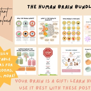 Puede incluir: Un conjunto de ocho carteles imprimibles sobre el cerebro humano. Los carteles presentan ilustraciones y texto coloridos, incluyendo "¡Cómo funciona el cerebro!" y "Piensa antes de hablar, escribir o teclear".