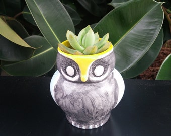 Sadzarka ceramiczna, Sadzarka do wewnątrz, mały Sadzarka, Sowa ceramiczna, ceramiczny Sadzarka Sowa, wystrój domu Sowa, malowane ceramiczne Sadzarka, prezent wystrój domu