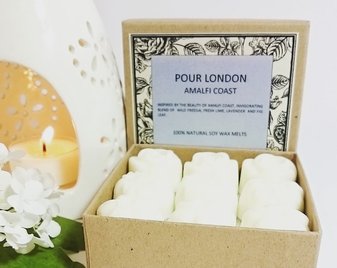 Amalfi Coast Scented Soy Wax Melts x 9