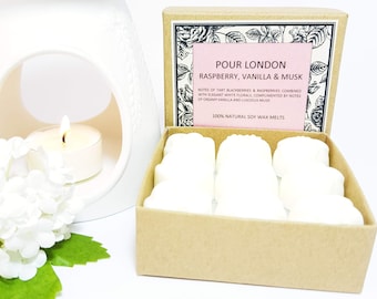 Raspberry, Vanilla & Musk Soy Wax Melts x 9