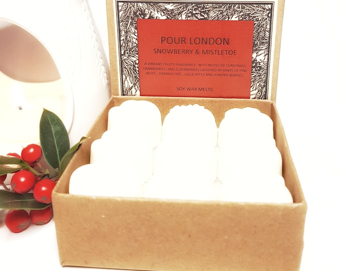 Snowberry & Mistletoe Soy Wax Melts x9