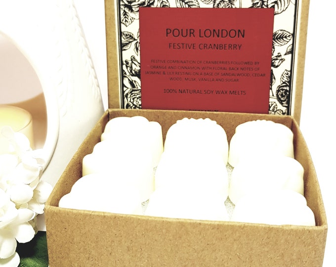 Festive Cranberry  Scented Soy Wax Melts x 9