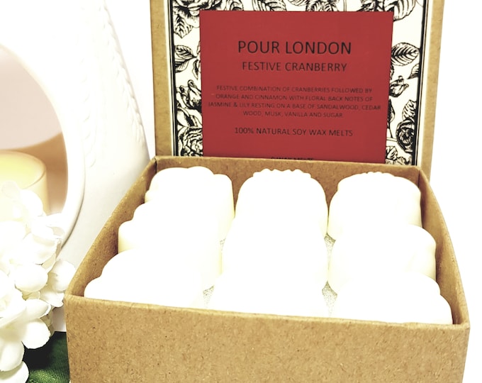 Festive Cranberry  Scented Soy Wax Melts x 9