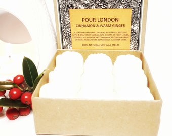 Cinnamon & Warm Ginger Soy Wax Melts x9