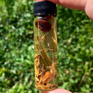 BOSS FIX ÖL | Job-Zauber Öl | Ermutigen Sie Raises & Promotionen | Hoodoo Ritual und Zauberöl