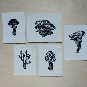 Puede incluir: Cinco ilustraciones en blanco y negro de setas impresas en cuadrados de tela blanca. Las ilustraciones incluyen un hongo único con un sombrero, un grupo de hongos, un hongo único con un sombrero rizado, un hongo único con un sombrero texturizado y un hongo único con un tallo en forma de rama.