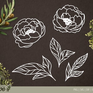 Peony cut file - svg, dxf, png, eps. Instant download for Silhouette and Cricut. Home floral cut file, home decor stencil