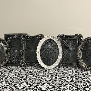 Gothic Framed Real Spider Web Art – Dark Wall Decor – Handmade Creepy Curio Display